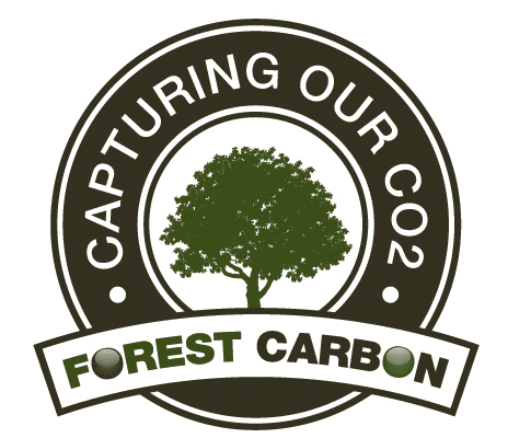 117 new trees planted in 2015