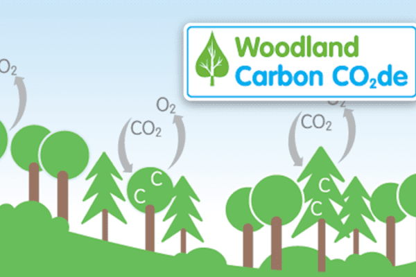 Commitment to environment sees trees planted